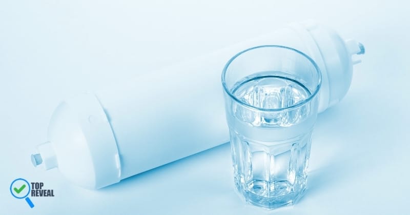 Pros and Cons of Installing a Whole-Home Water Filter