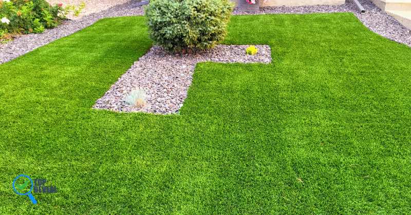 3 Ways To Have A Beautiful Lawn Anyway