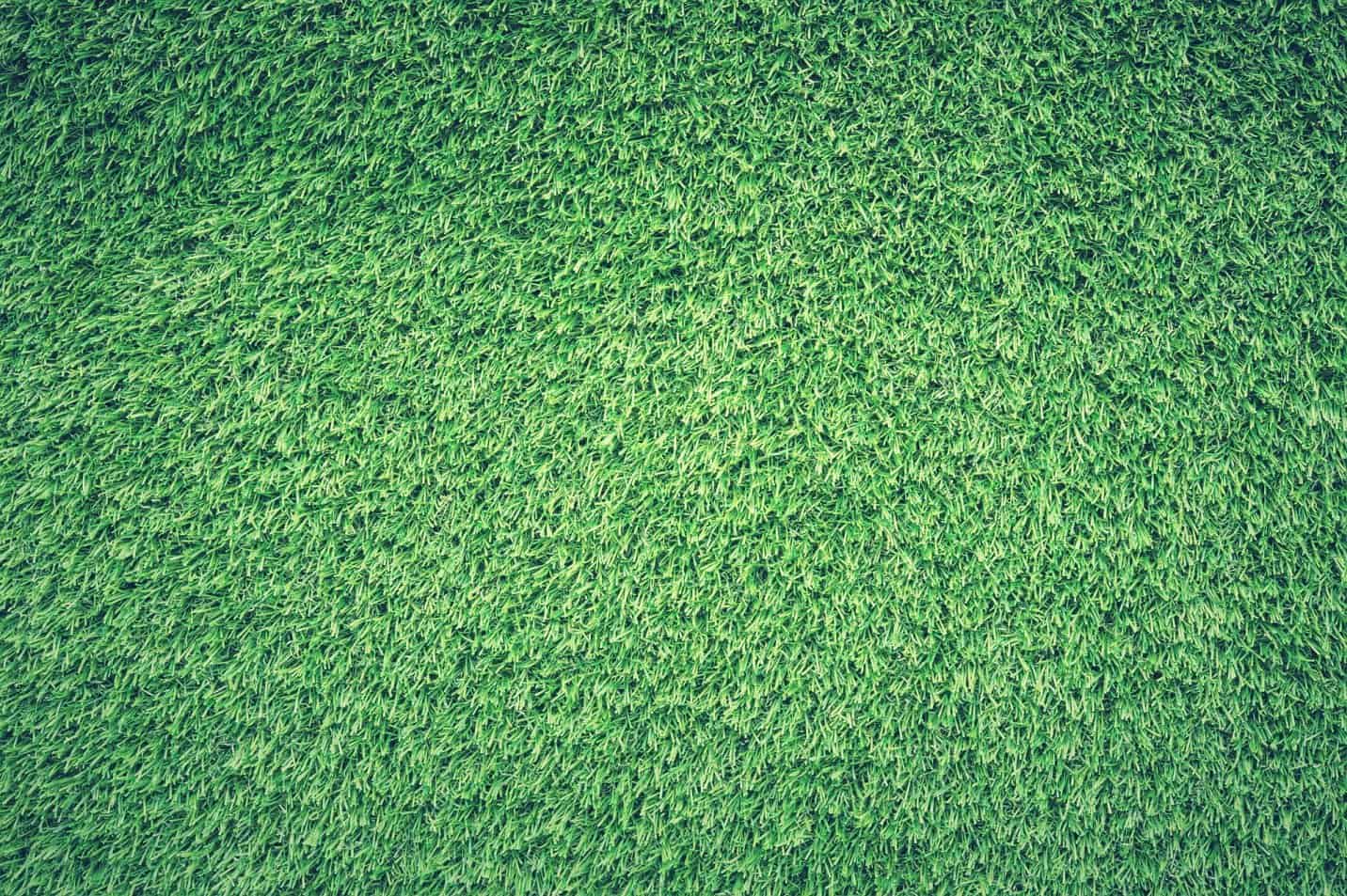 Artificial Turf and Your Health