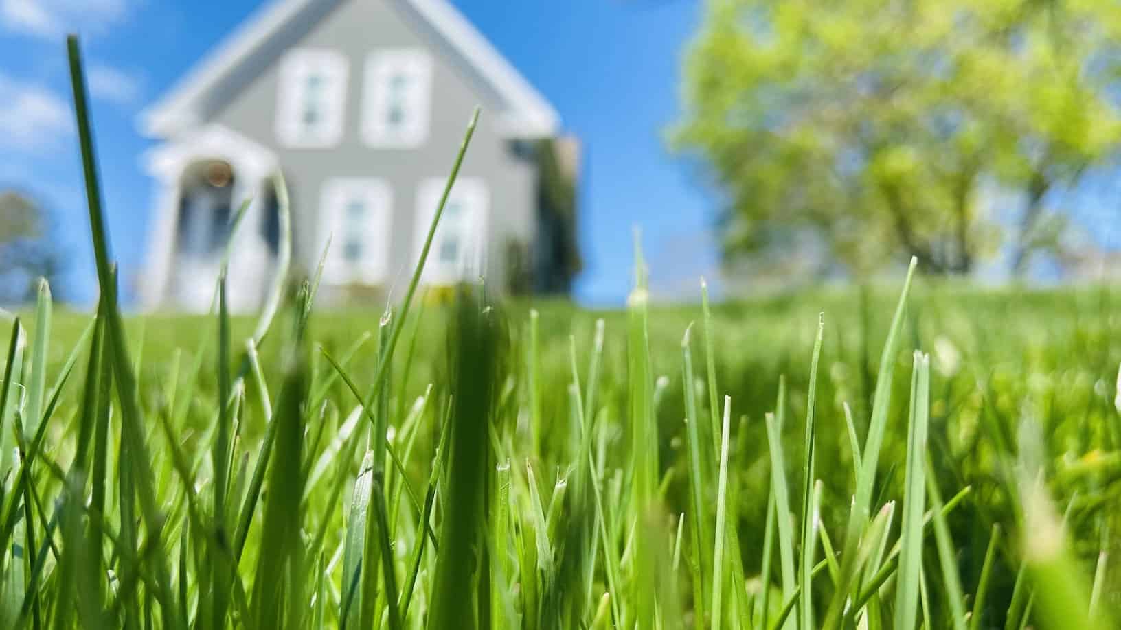 Lawn Care Myths