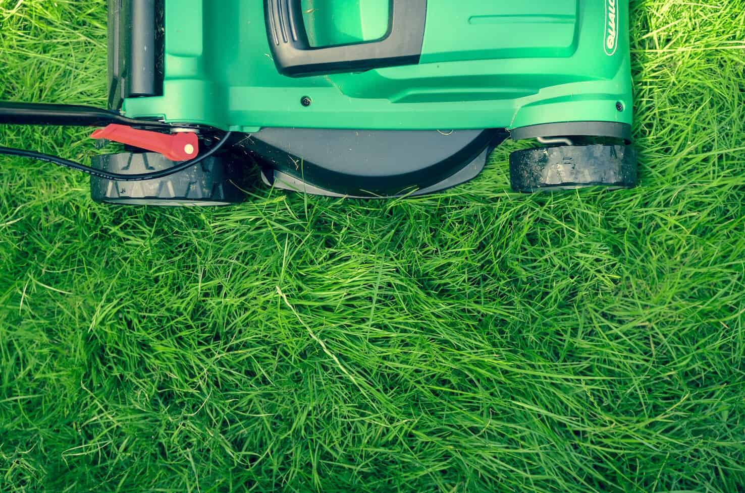 Lawn Care: Are You Doing it Right?
