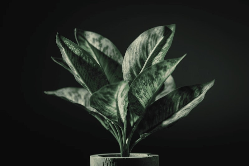 Modern Artificial Plants