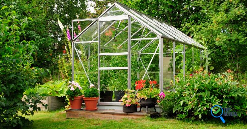 Tips for Building the Best Greenhouse